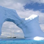 IL MEDITERRANEO E’ TROPPO CALDO, LE SPECIE MARINE MIGRANO A DECINE DI METRI PIU’ IN PROFONDITA’ PER SOPRAVVIVERE