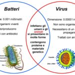 IL GRANDE INSEGNAMENTO DELLA NATURA INDICA COSA FARE DOPO LA PANDEMIA