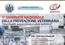 26 GENNAIO 2026 – 1° GIORNATA NAZIONALE DELLA PREVENZIONE VETERINARIA – One Health: prevenzione e salute pubblica