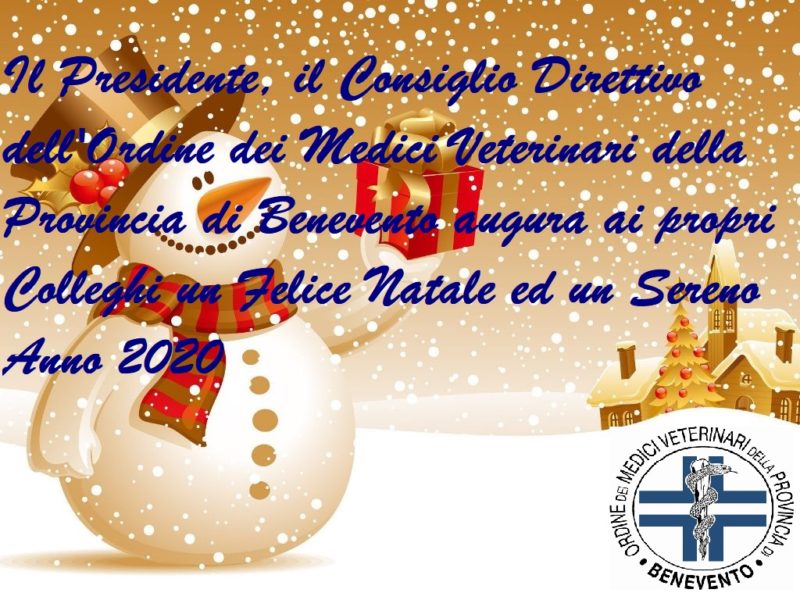 Auguri Di Buon Natale Lyrics.Auguri Di Buon Natale E Felice Anno Nuovo Ordine Dei Medici Veterinari Della Prov Di Benevento Via Tommaso Rossi 22 Tel 0824 47269