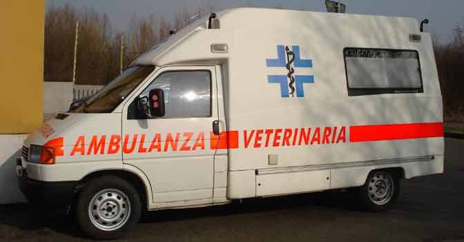 Ambulanza-Veterinaria
