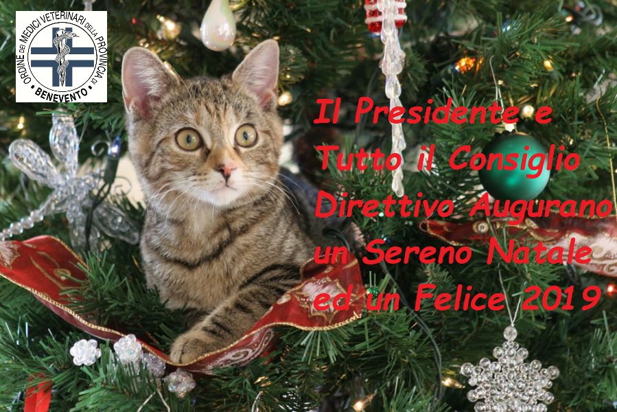 Buon Natale E Auguri.Auguri Di Buon Natale E Sereno 2019 Ordine Dei Medici Veterinari Della Prov Di Benevento Via Tommaso Rossi 22 Tel 0824 47269