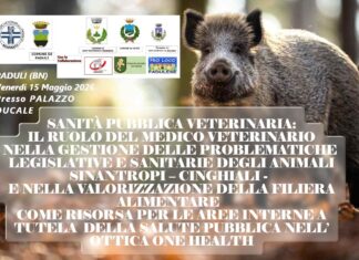 PADULI (BN) – 15/05/2026 – SANITÀ PUBBLICA VETERINARIA: IL RUOLO DEL MEDICO VETERINARIO NELLA GESTIONE DELLE PROBLEMATICHE LEGISLATIVE E SANITARIE DEGLI ANIMALI SINANTROPI – CINGHIALI – E NELLA VALORIZZAZIONE DELLA FILIERA ALIMENTARE COME RISORSA PER LE AREE INTERNE A TUTELA DELLA SALUTE PUBBLICA NELL’ OTTICA ONE HEALTH