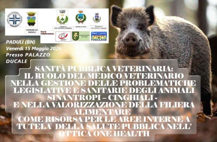 PADULI (BN) – 15/05/2026 – SANITÀ PUBBLICA VETERINARIA: IL RUOLO DEL MEDICO VETERINARIO NELLA GESTIONE DELLE PROBLEMATICHE LEGISLATIVE E SANITARIE DEGLI ANIMALI SINANTROPI – CINGHIALI – E NELLA VALORIZZAZIONE DELLA FILIERA ALIMENTARE COME RISORSA PER LE AREE INTERNE A TUTELA DELLA SALUTE PUBBLICA NELL’ OTTICA ONE HEALTH