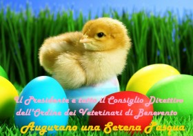 Buona Pasqua OMV BN