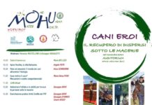 28 NOVEMBRE 2024 – APICE VECCHIA (BN) – CANI EROI, IL RECUPERO DEI DISPERSI SOTTO LE MACERIE