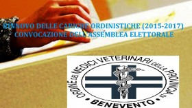 Convocazione Elettorale