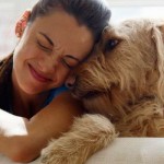 I CANI CAPISCONO SIA IL VOCABOLARIO CHE L’ INTONAZIONE DELLA VOCE UMANA