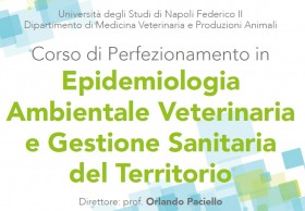 Logo Epidemiologia Ambientale