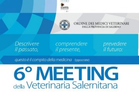 Logo Meeting Salerno