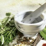 ACQUACOLTURA E ALLEVAMENTI ITTICI, OLI ESSENZIALI PER RIDURRE GLI ANTIBIOTICI, AL VIA IL PROGETTO DELL’UNIVERSITA’ DI PISA