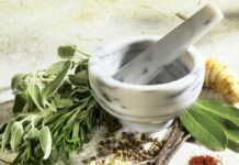 ACQUACOLTURA E ALLEVAMENTI ITTICI, OLI ESSENZIALI PER RIDURRE GLI ANTIBIOTICI, AL VIA IL PROGETTO DELL’UNIVERSITA’ DI PISA