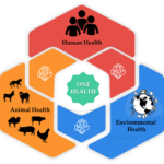 OneHealth