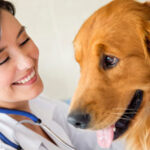 NUOVO 730: ISTRUZIONI PER LE DETRAZIONI VETERINARIE