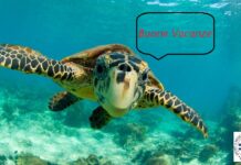 CHIUSURA PER FERIE ESTIVE DELLA SEGRETERIA – BUONE VACANZE