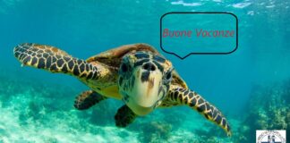 CHIUSURA PER FERIE ESTIVE DELLA SEGRETERIA – BUONE VACANZE