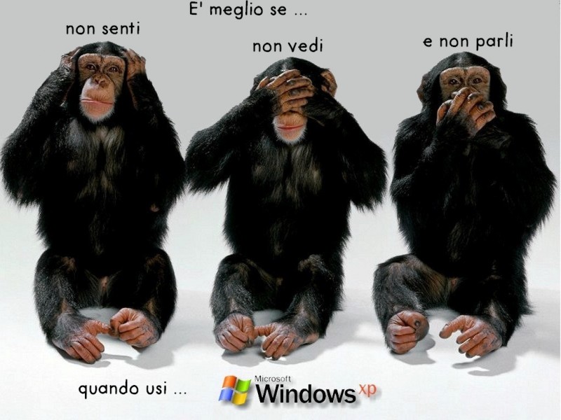 se usi windows xp